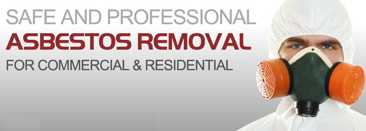 mold removal banner