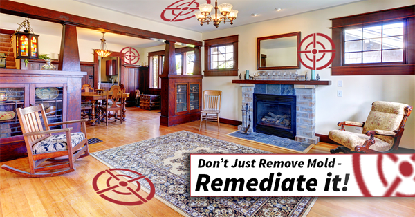 WE ARE A CERTIFIED WATER DAMAGE, MOLD REMOVAL &amp; REMEDIATION, FIRE AND SMOKE DAMAGE RESTORATION COMPANY