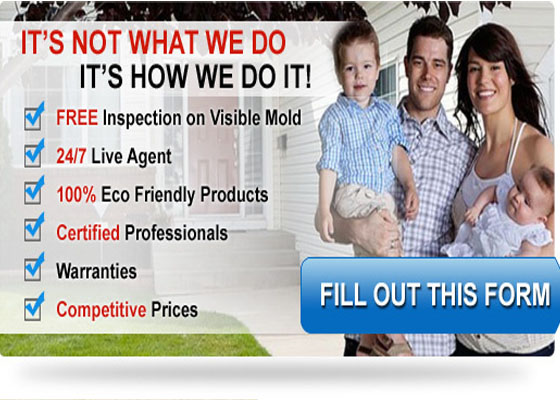 mold removal advertising
